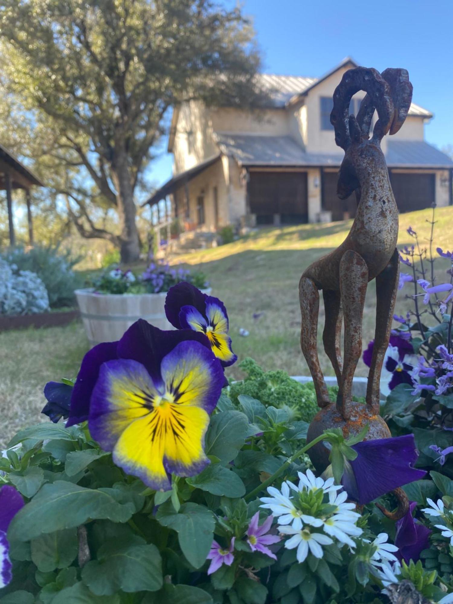 V700 Ranch Stays Marble Falls Exterior foto